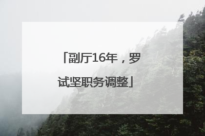 副厅16年，罗试坚职务调整
