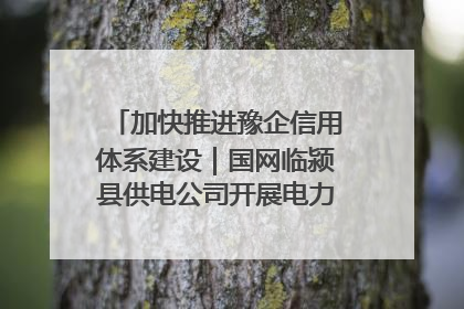 加快推进豫企信用体系建设｜国网临颍县供电公司开展电力行业信用企业现场咨询访谈工作
