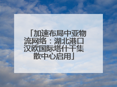 加速布局中亚物流网络：湖北港口汉欧国际塔什干集散中心启用