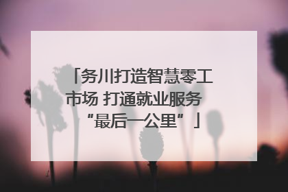 务川打造智慧零工市场 打通就业服务“最后一公里”