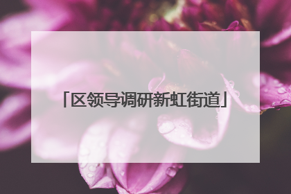 区领导调研新虹街道