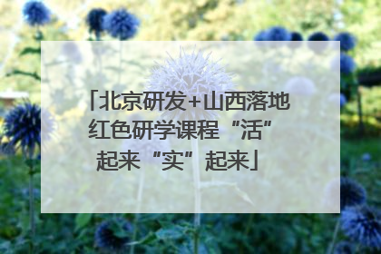 北京研发+山西落地 红色研学课程“活”起来“实”起来