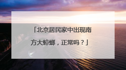 北京居民家中出现南方大蟑螂，正常吗？