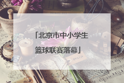 北京市中小学生篮球联赛落幕