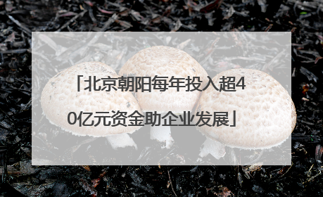 北京朝阳每年投入超40亿元资金助企业发展