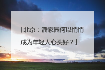 北京：潘家园何以悄悄成为年轻人心头好？