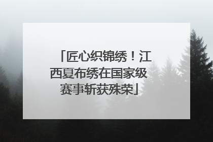 匠心织锦绣！江西夏布绣在国家级赛事斩获殊荣