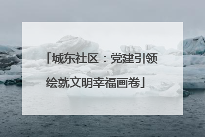 城东社区：党建引领绘就文明幸福画卷