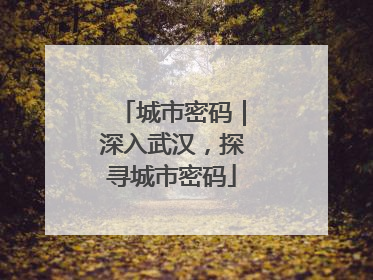 城市密码｜深入武汉，探寻城市密码