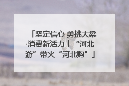 坚定信心 勇挑大梁·消费新活力丨“河北游”带火“河北购”