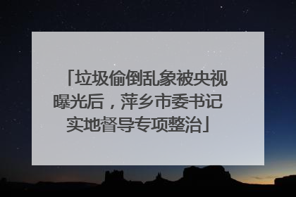 垃圾偷倒乱象被央视曝光后，萍乡市委书记实地督导专项整治