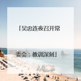 吴忠连夜召开常委会：教训深刻
