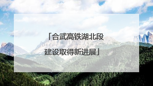 合武高铁湖北段建设取得新进展