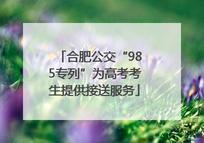 合肥公交“985专列”为高考考生提供接送服务