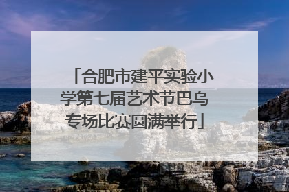 合肥市建平实验小学第七届艺术节巴乌专场比赛圆满举行