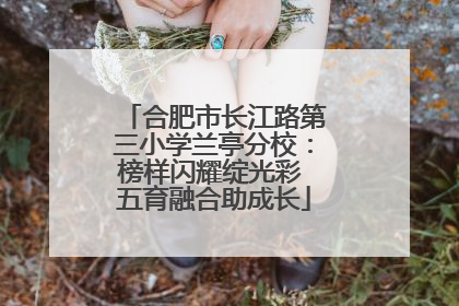 合肥市长江路第三小学兰亭分校：榜样闪耀绽光彩 五育融合助成长