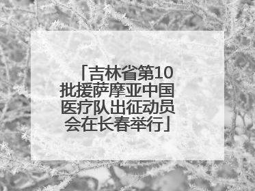 吉林省第10批援萨摩亚中国医疗队出征动员会在长春举行