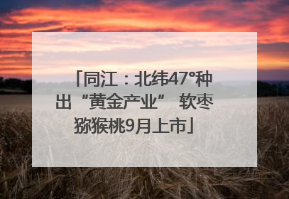 同江：北纬47°种出“黄金产业” 软枣猕猴桃9月上市