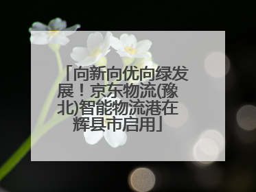 向新向优向绿发展！京东物流(豫北)智能物流港在辉县市启用