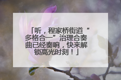 听，程家桥街道“多格合一”治理合奏曲已经奏响，快来解锁高光时刻！