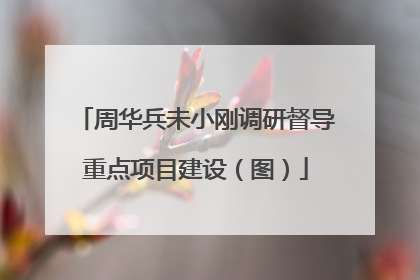 周华兵未小刚调研督导重点项目建设（图）