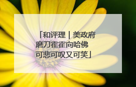 和评理｜美政府磨刀霍霍向哈佛 可悲可叹又可笑