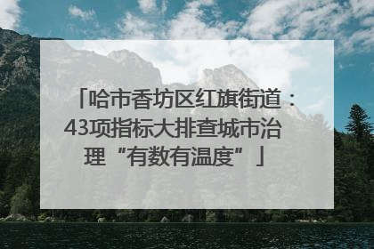 哈市香坊区红旗街道：43项指标大排查城市治理“有数有温度”