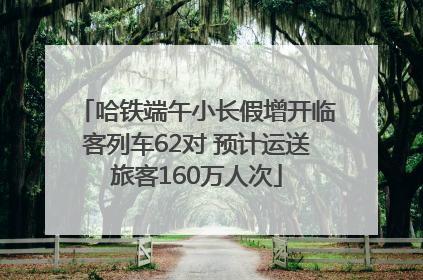 哈铁端午小长假增开临客列车62对 预计运送旅客160万人次