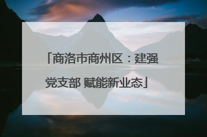 商洛市商州区：建强党支部 赋能新业态