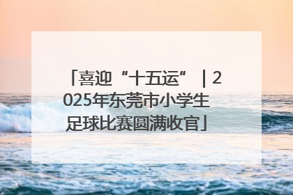 喜迎“十五运”｜2025年东莞市小学生足球比赛圆满收官