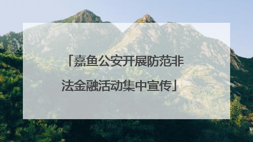 嘉鱼公安开展防范非法金融活动集中宣传
