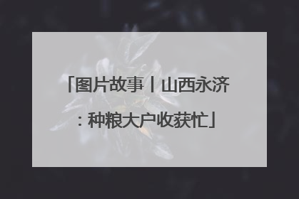 图片故事丨山西永济：种粮大户收获忙
