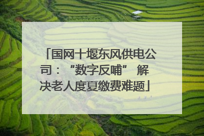 国网十堰东风供电公司：“数字反哺” 解决老人度夏缴费难题