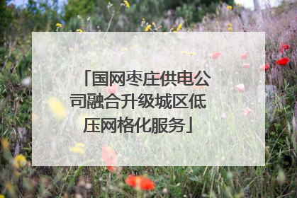 国网枣庄供电公司融合升级城区低压网格化服务