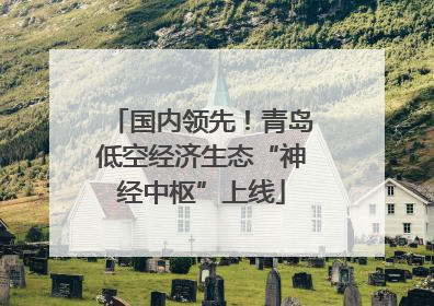 国内领先！青岛低空经济生态“神经中枢”上线