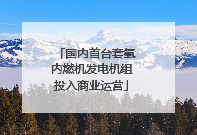 国内首台套氢内燃机发电机组投入商业运营