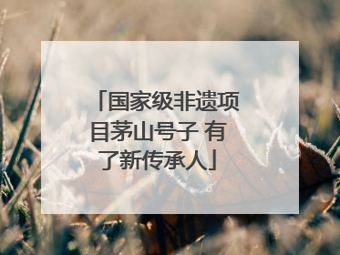 国家级非遗项目茅山号子 有了新传承人