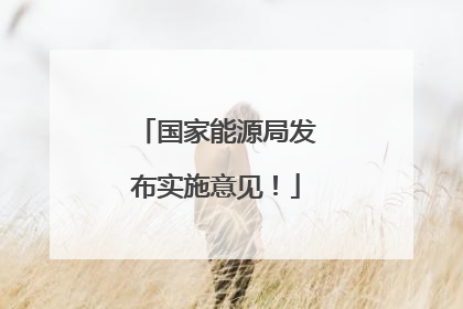 国家能源局发布实施意见！