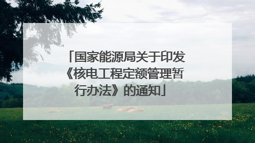 国家能源局关于印发《核电工程定额管理暂行办法》的通知