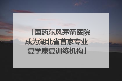 国药东风茅箭医院成为湖北省首家专业复学康复训练机构