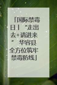 国际禁毒日丨“走出去+请进来” 华容县全方位筑牢禁毒防线