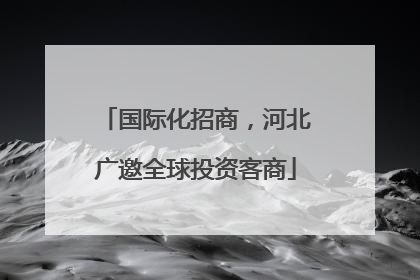 国际化招商，河北广邀全球投资客商