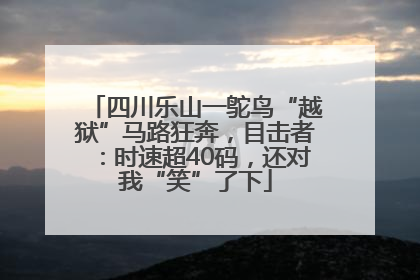四川乐山一鸵鸟“越狱”马路狂奔，目击者：时速超40码，还对我“笑”了下