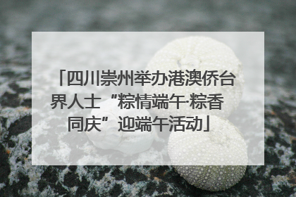 四川崇州举办港澳侨台界人士“粽情端午·粽香同庆”迎端午活动
