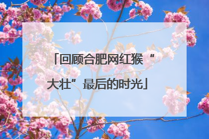 回顾合肥网红猴“大壮”最后的时光