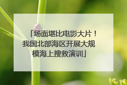场面堪比电影大片！我国北部海区开展大规模海上搜救演训