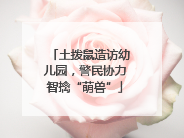 土拨鼠造访幼儿园，警民协力智擒“萌兽”