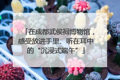 在成都武侯祠博物馆，感受放进手里、听在耳中的“沉浸式端午”