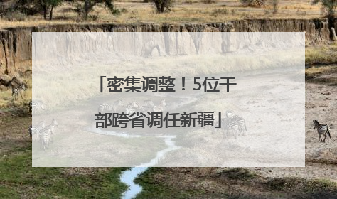 密集调整！5位干部跨省调任新疆