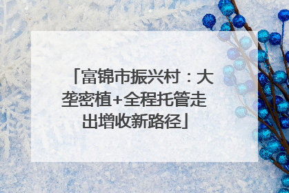 富锦市振兴村：大垄密植+全程托管走出增收新路径